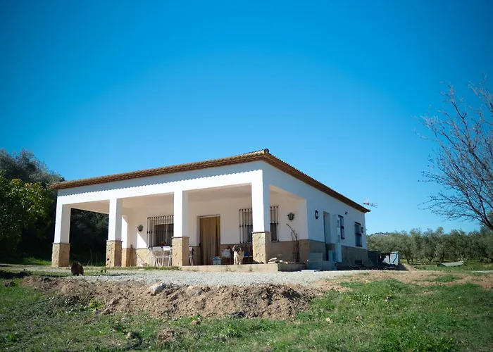 Casa Rural De Encanto En Plena Serrania De Ronda